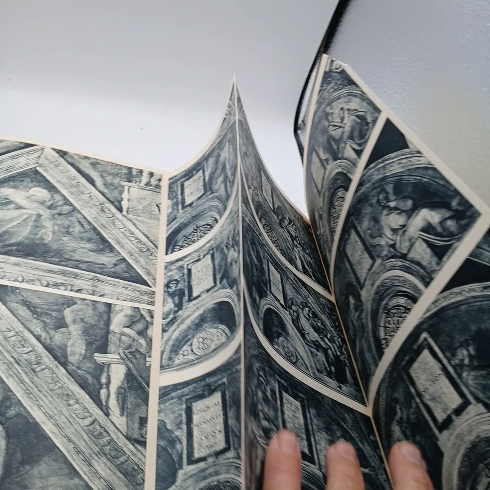 Michelangelo Paintings Sculptures Architecture 1964 Goldscheider Phaidon Art